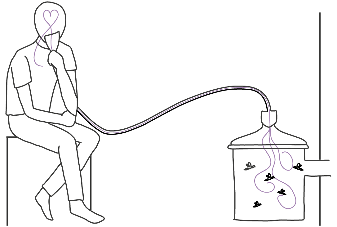 Bienenstockluft atmen