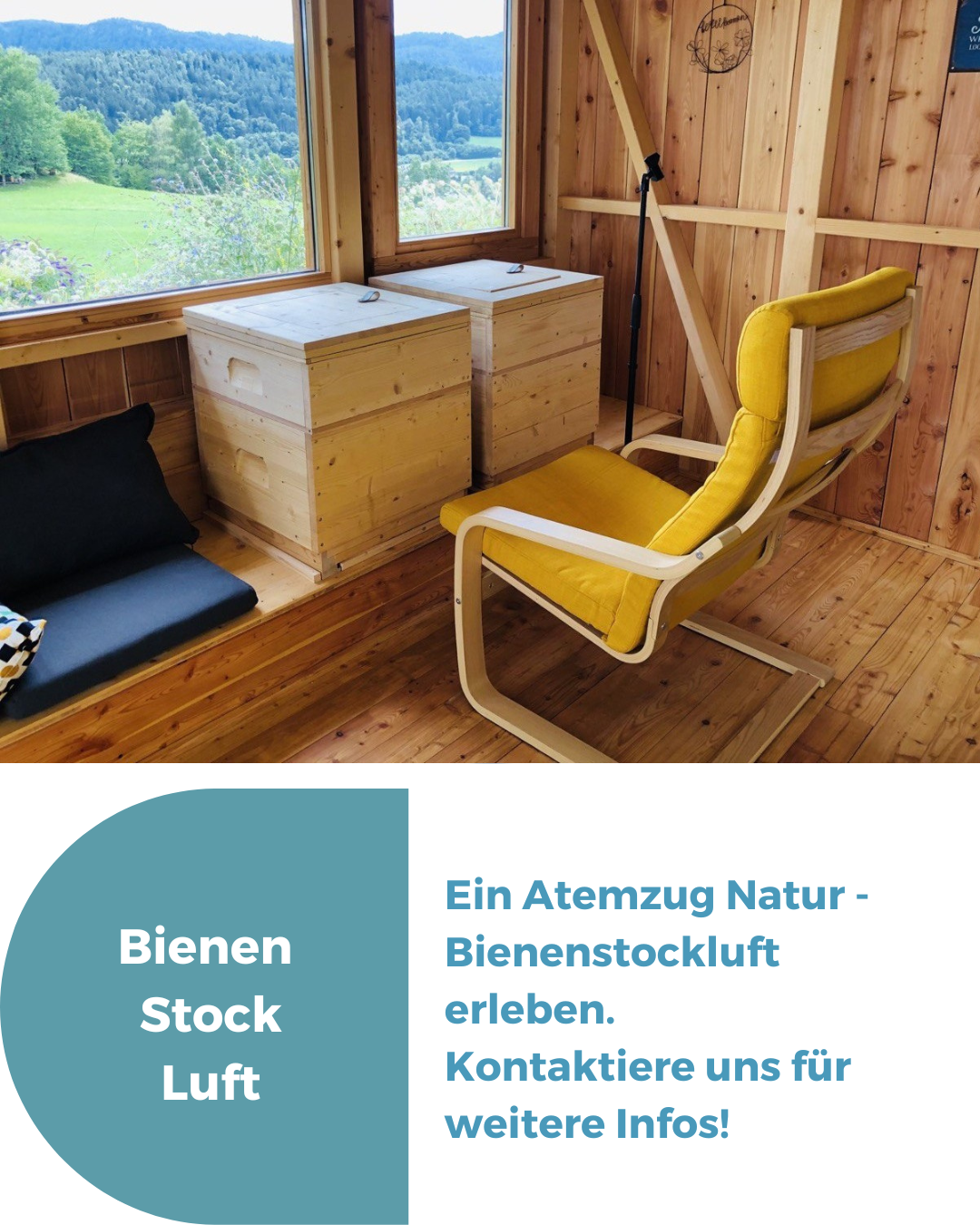 Bienenstockluft erleben Christina Lugger ist Humanenergetikerin, Kinesiologin und Pädagogin